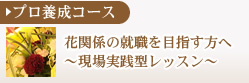 花屋関係の就職を目指す方へ